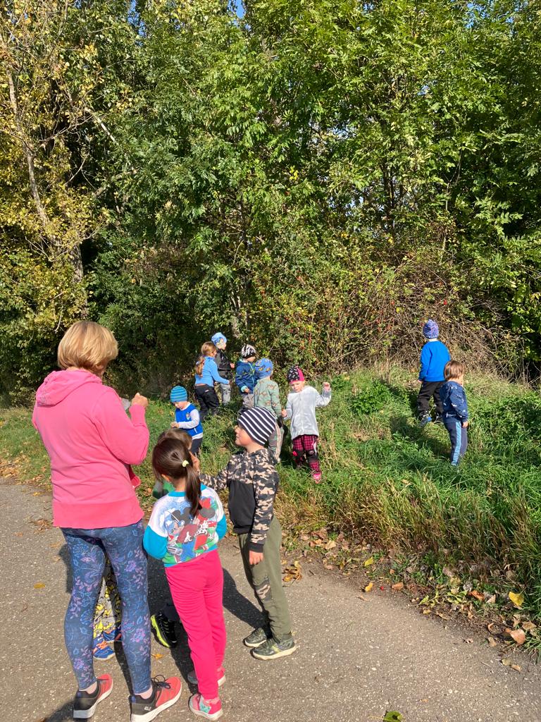 WhatsApp Image 2022-10-14 at 16.01.38 (3)