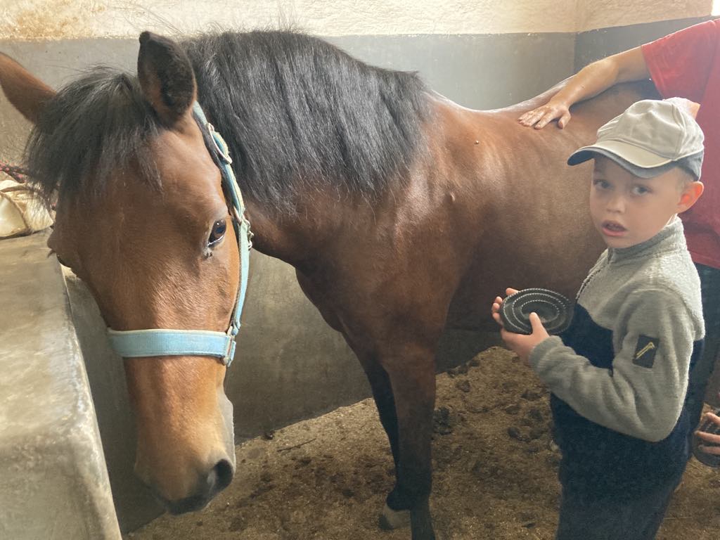 b5109e32-e4b1-4204-a695-3742dc1b2970