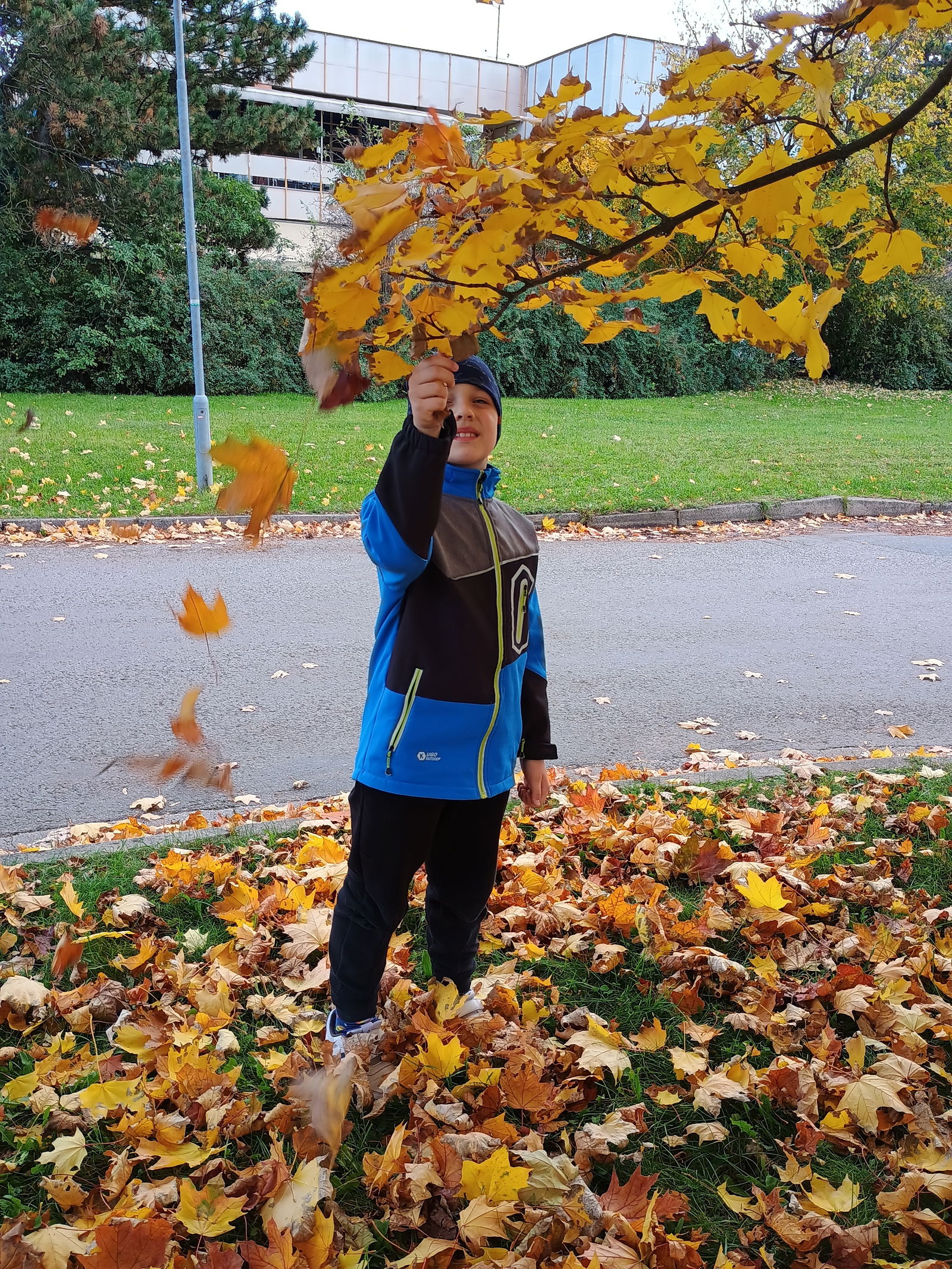 IMG_20241018_143707168