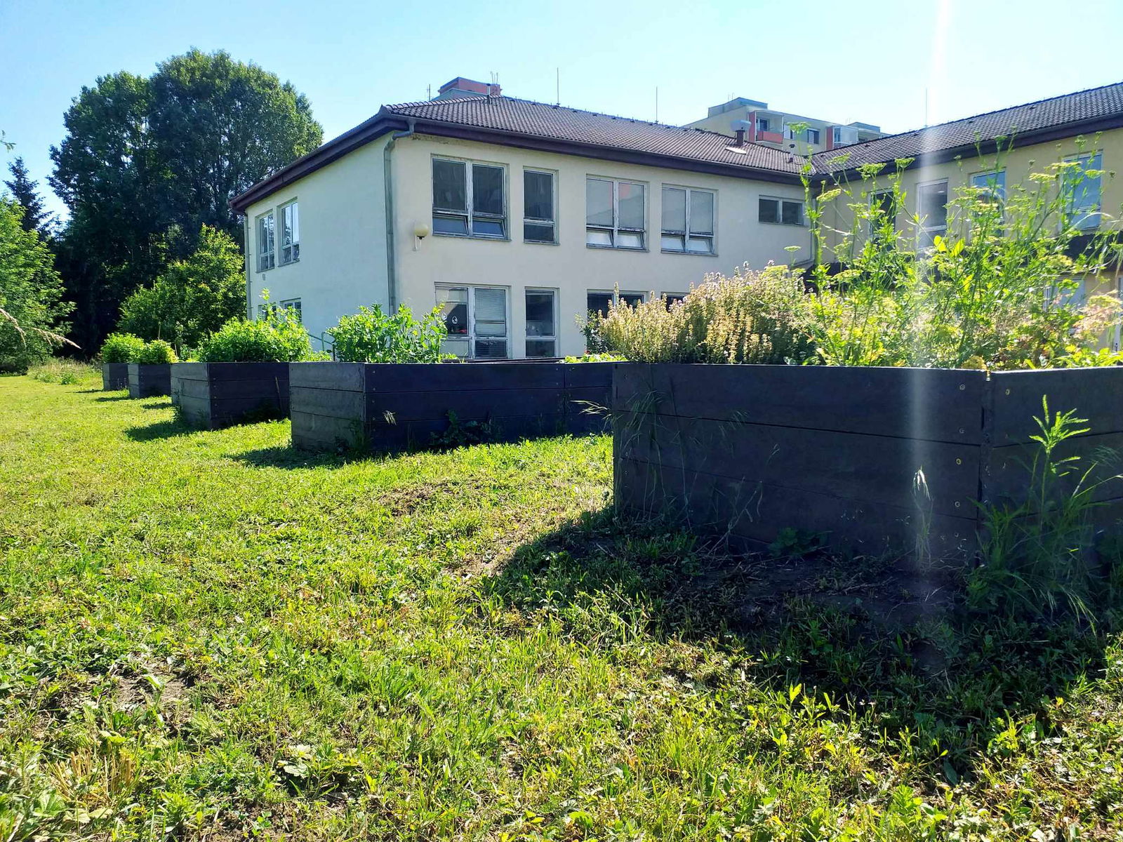 441870414_344778831972598_2539987049128175198_n