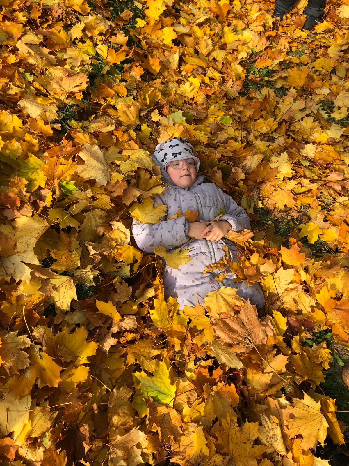 d94ad187-aeae-4a8b-a6cb-d2584d42309a