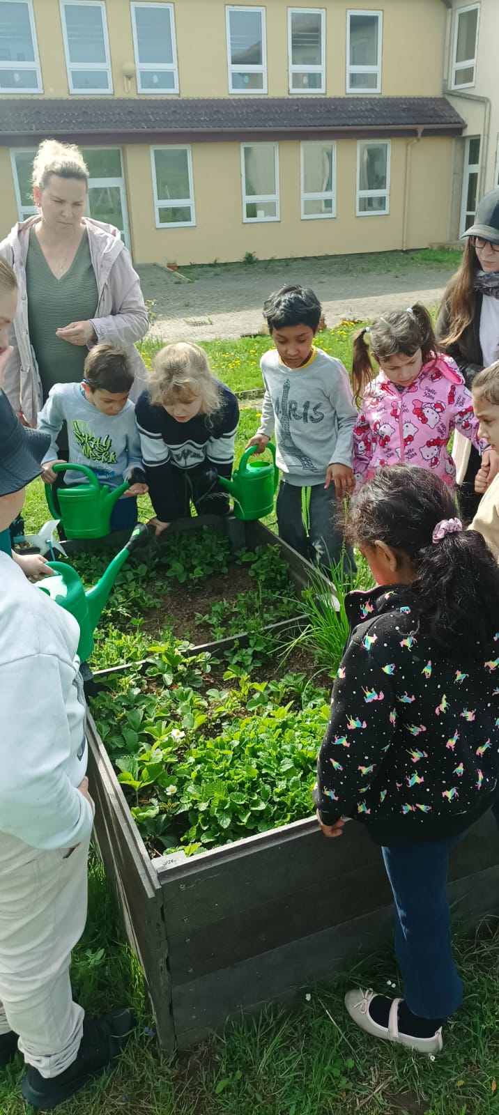 e3885331-0677-4de6-906b-bbfe8f835b35