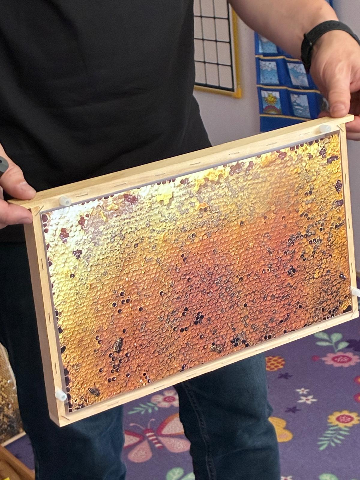 c673fb9d-3896-4ee7-bfc3-729d5d60aeea