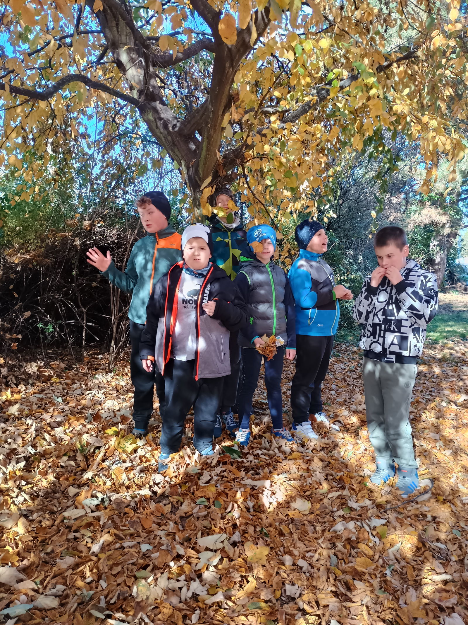 IMG_20251020_142719827_HDR