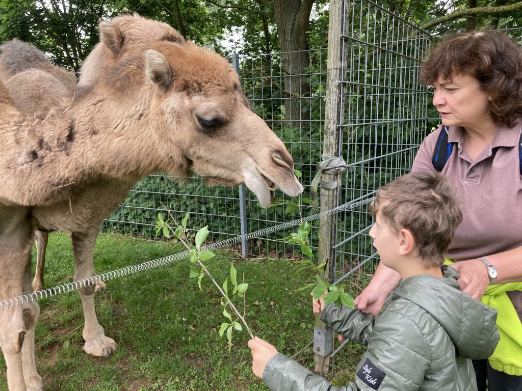 6895fcf6-fc01-4568-b019-1b34817fc6e6