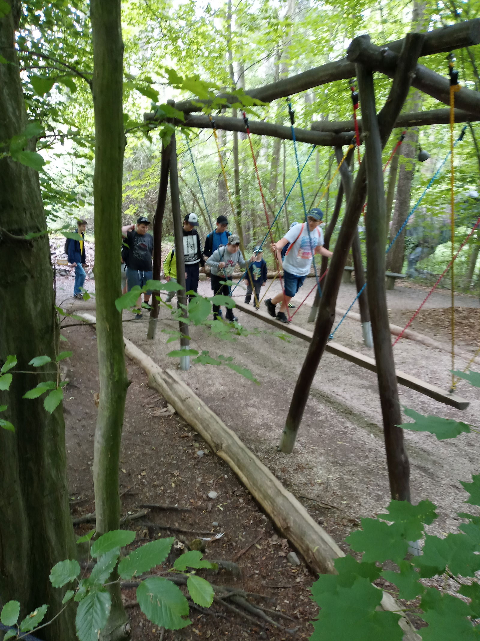 IMG_20220603_101206_537