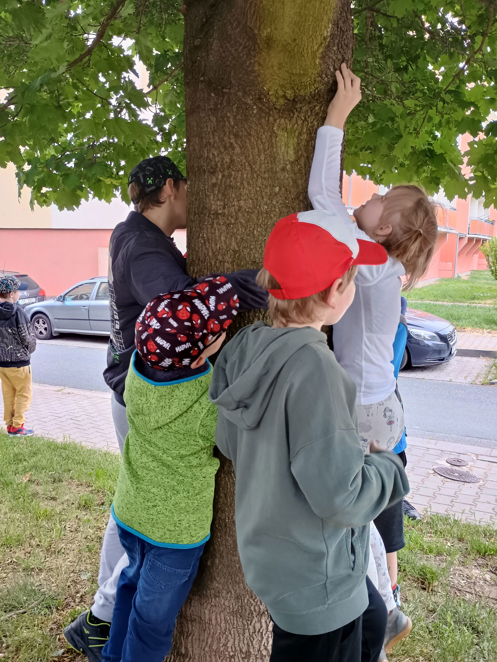 IMG_20250528_142037963_HDR