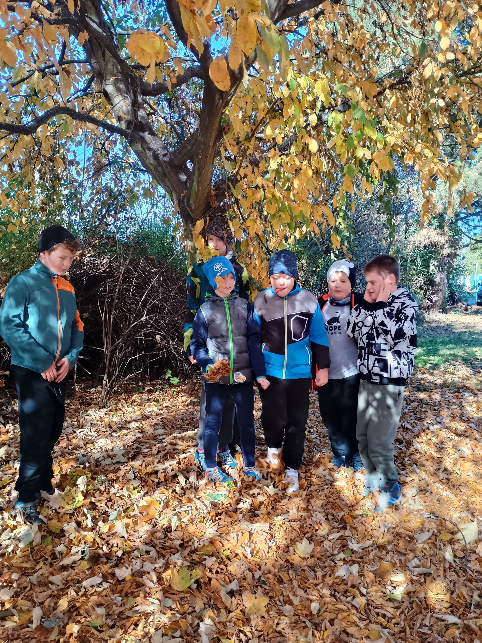 IMG_20251020_142646633_HDR