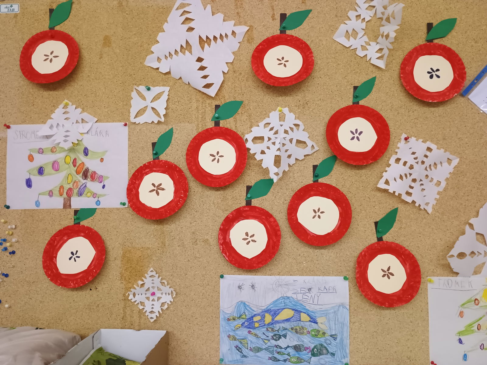 IMG_20251218_154813746