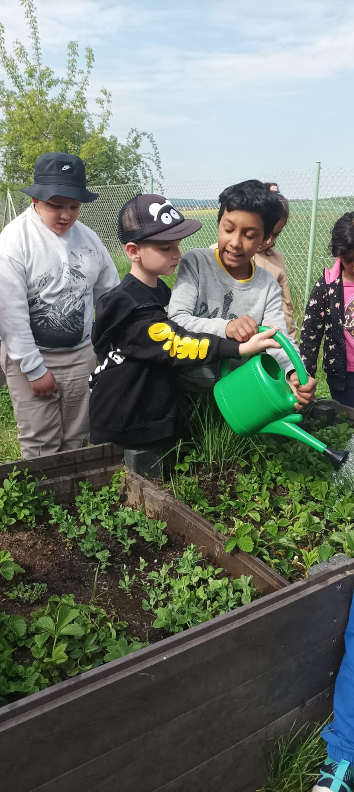 28130696-e210-49ca-b8ee-3e36e20dcbe6