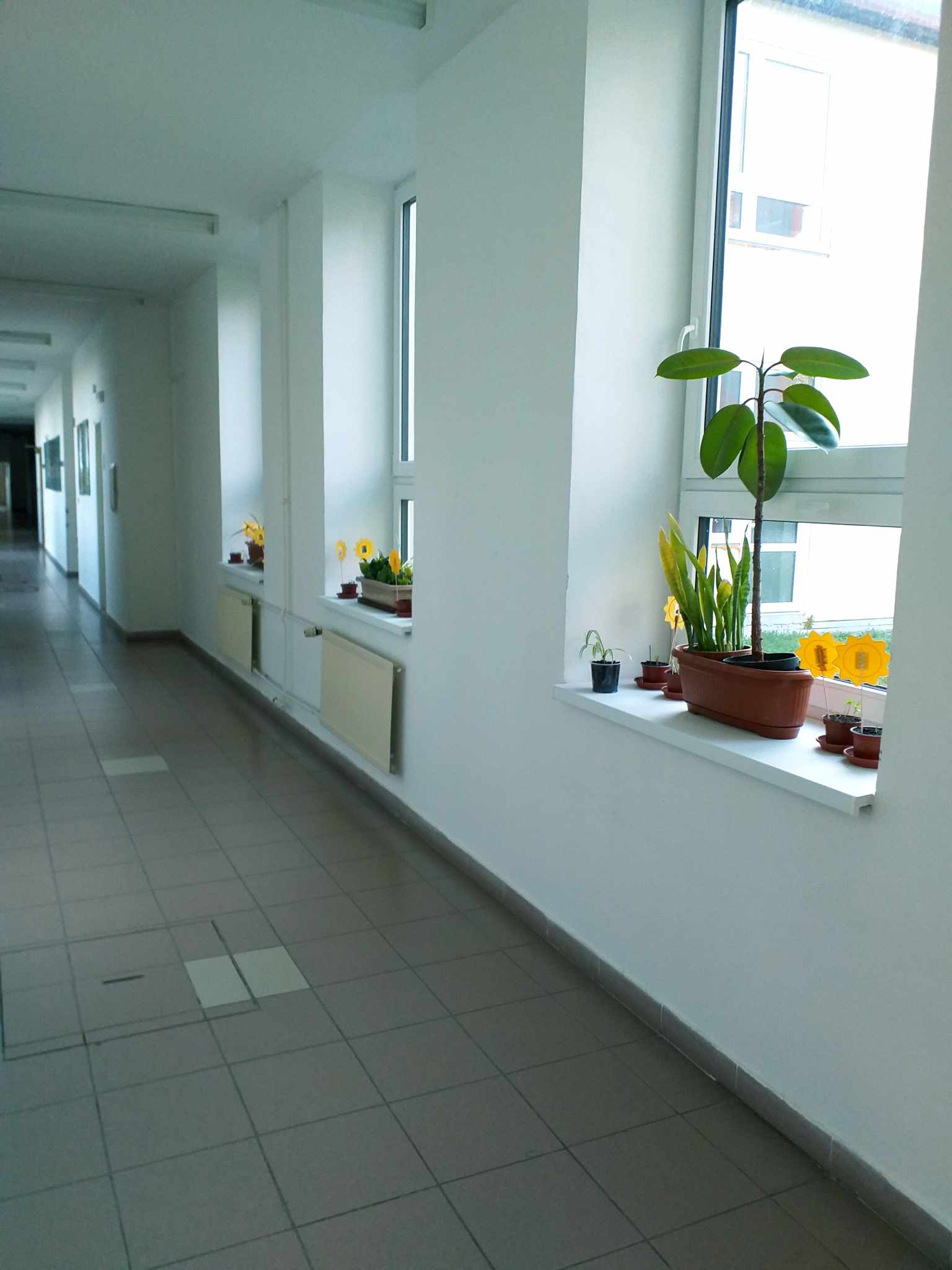 485993074_1459363442116002_1475507576845673894_n