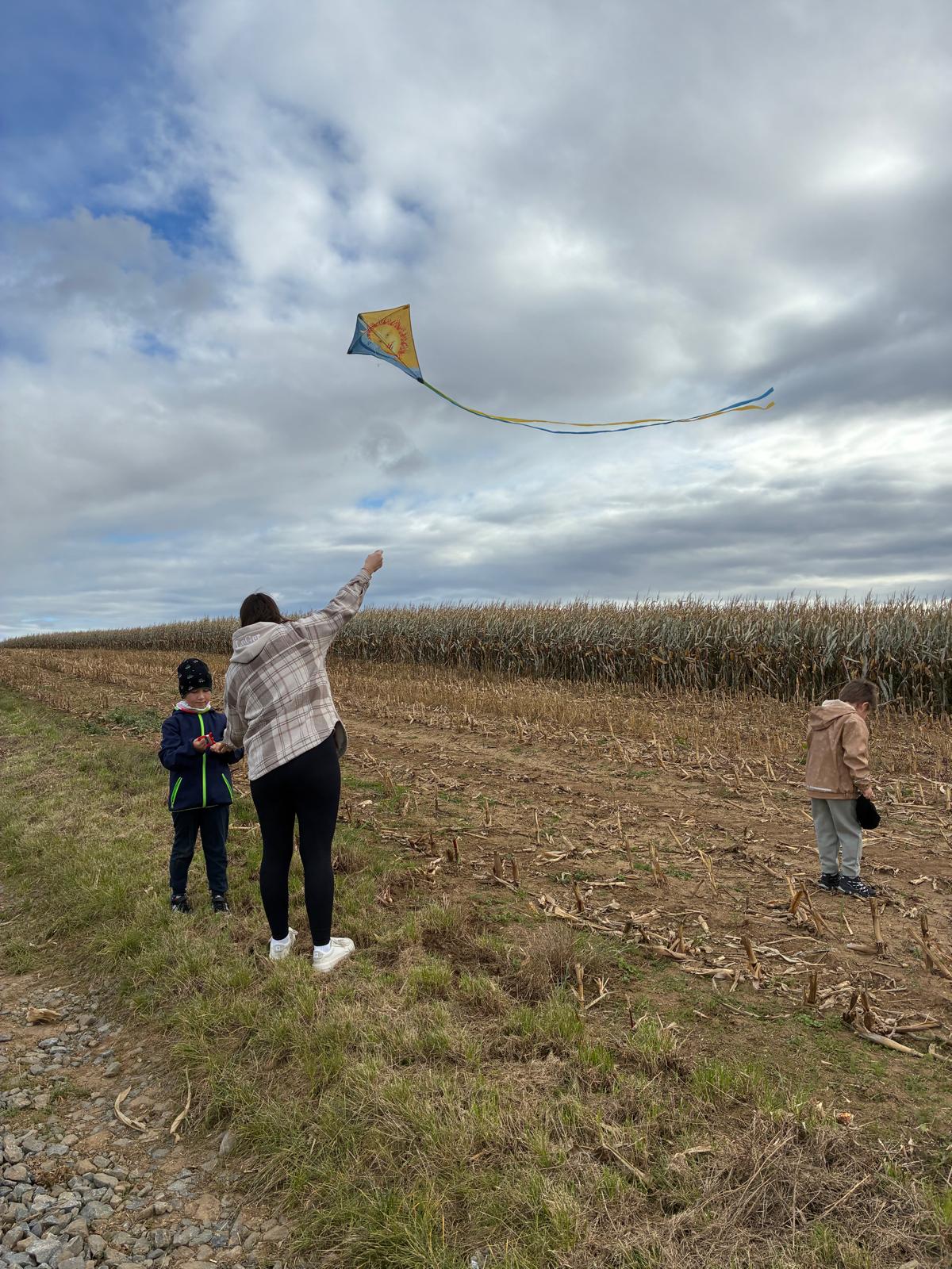 5e818ea2-180f-4064-ba3e-b31ea12a59e0