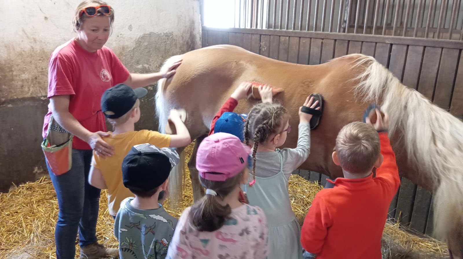 1a303e87-960e-43c1-8b1c-28f6f56c8ce0