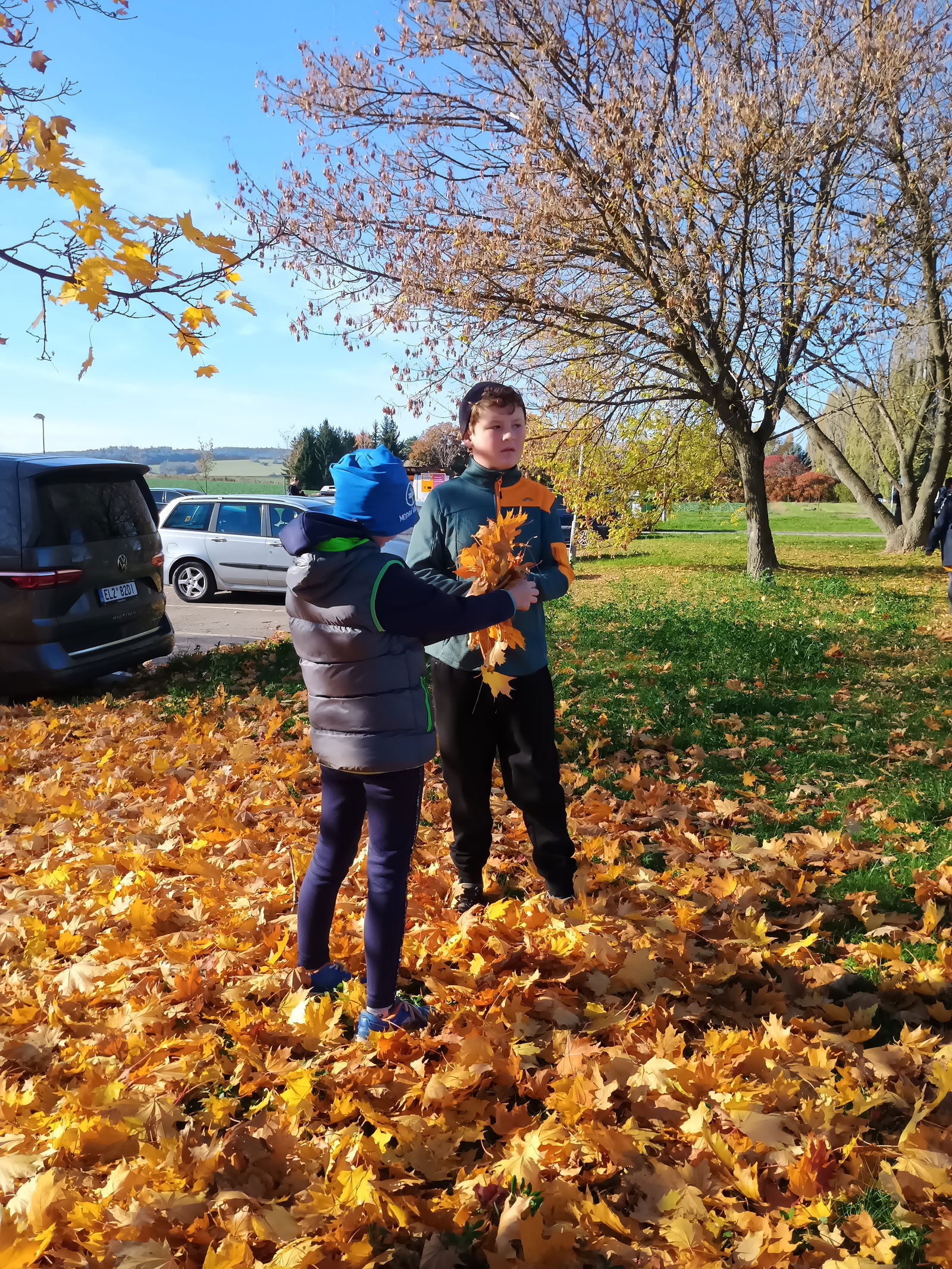 IMG_20251020_142917314