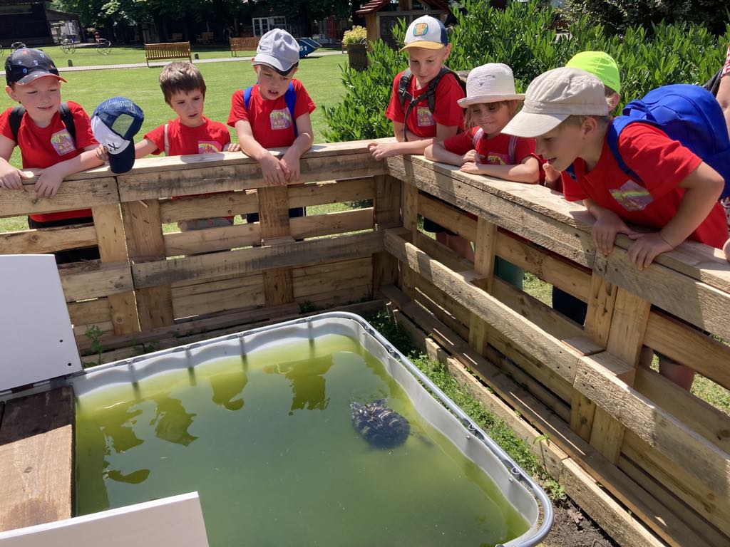 ebfafa11-56a6-4fdc-98a7-ebce9e072503