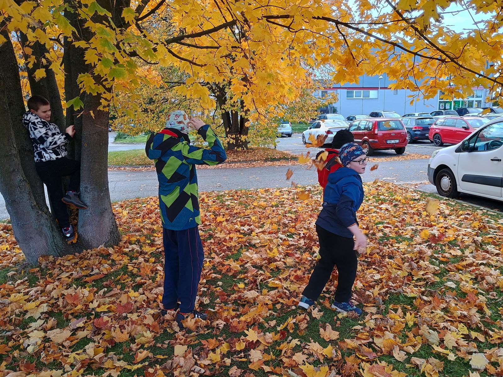 IMG_20241018_143546459_HDR