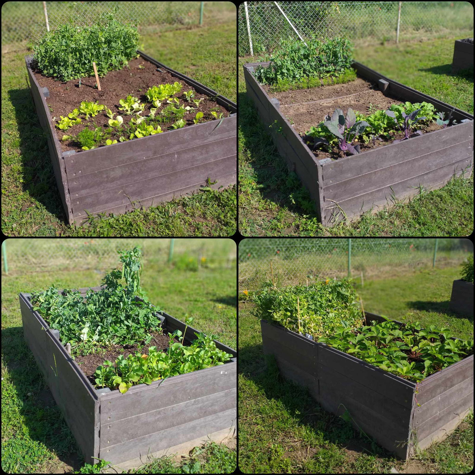 441264995_345796571602332_7407828220087848392_n