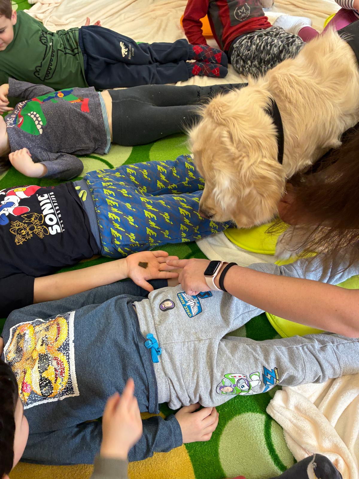 a8fdcf46-688d-4f01-8e04-9fc8fef671de