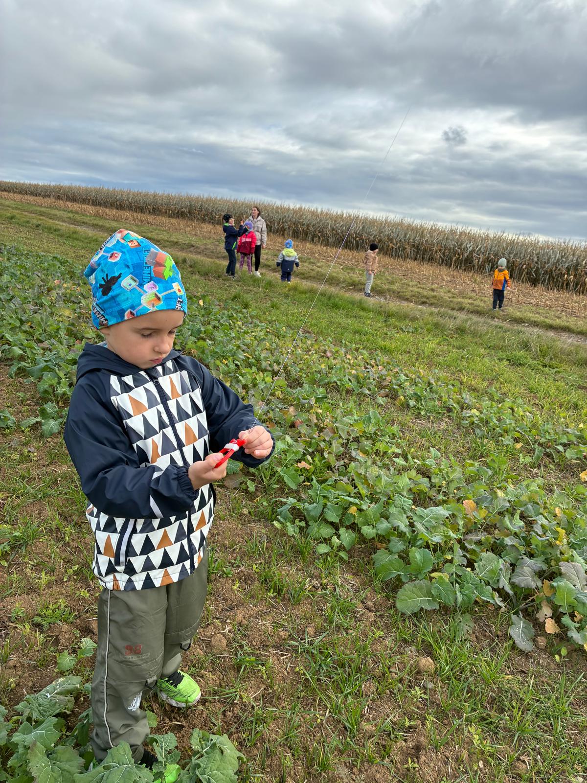 fd6f1683-dbf1-4b7d-a11a-7a5b38a37df5