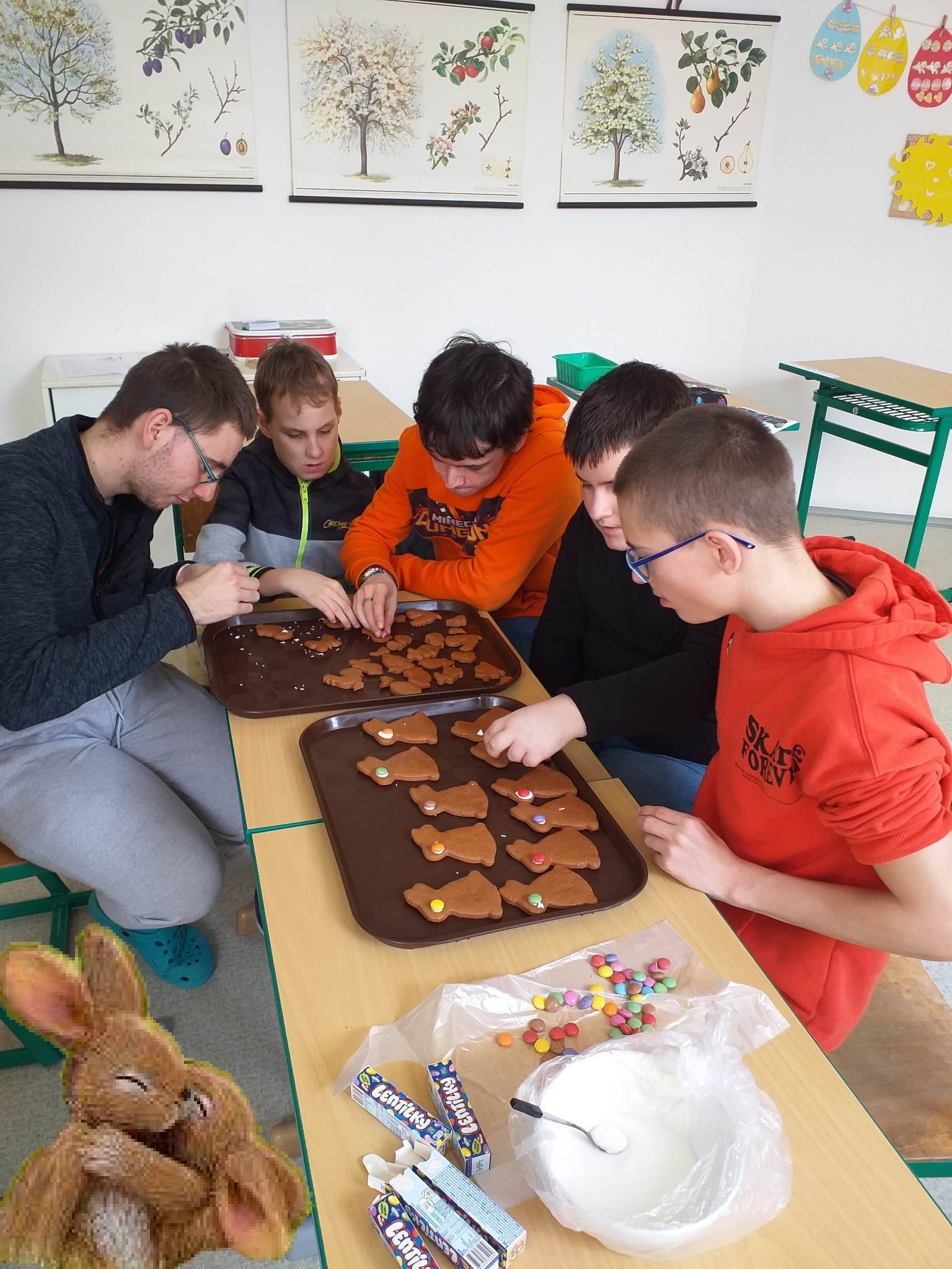 337319268_240968865044681_8134567160287434900_n