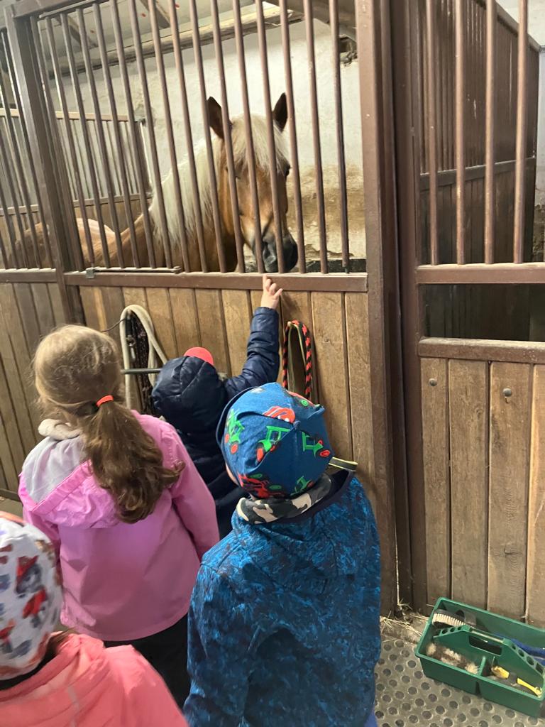 WhatsApp Image 2023-05-17 at 12.26.28 (2)