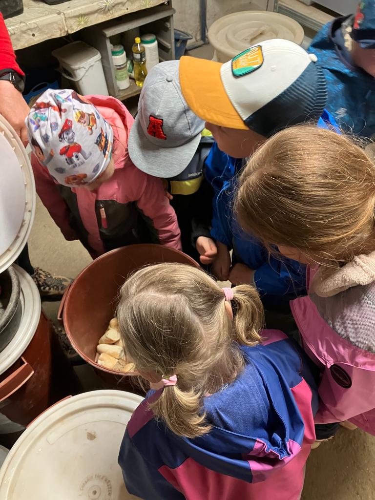 WhatsApp Image 2023-05-17 at 12.26.28 (10)