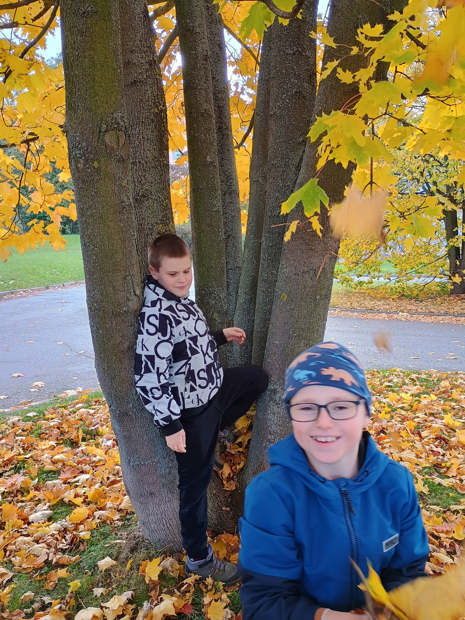 IMG_20241018_143721029_HDR