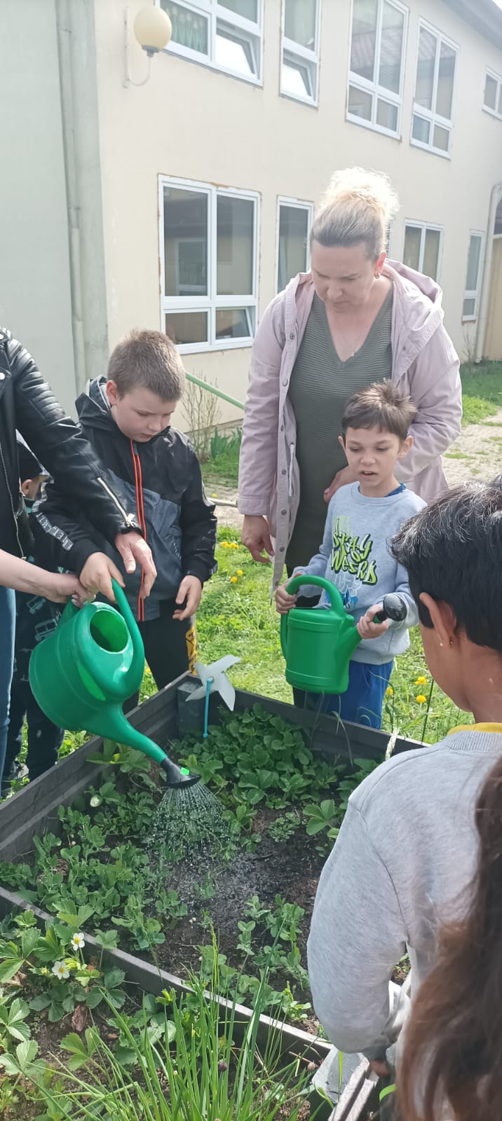 cf8fddb4-3865-4067-a1b9-e2af2059b5e0