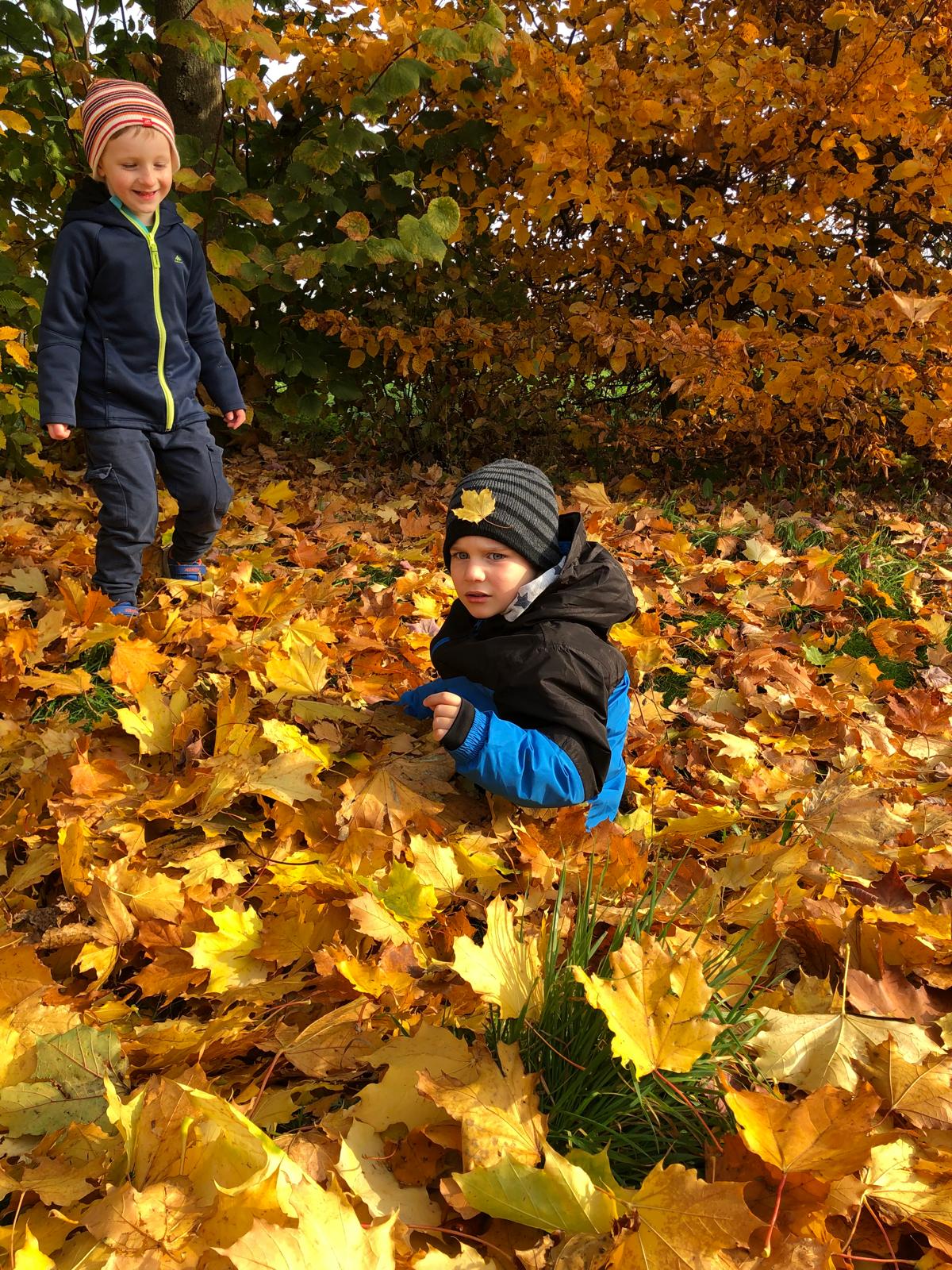 186c7dec-7424-4ea6-b50d-54678f775efd