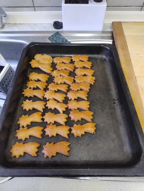 462581963_1762938761147818_5324052554549697454_n