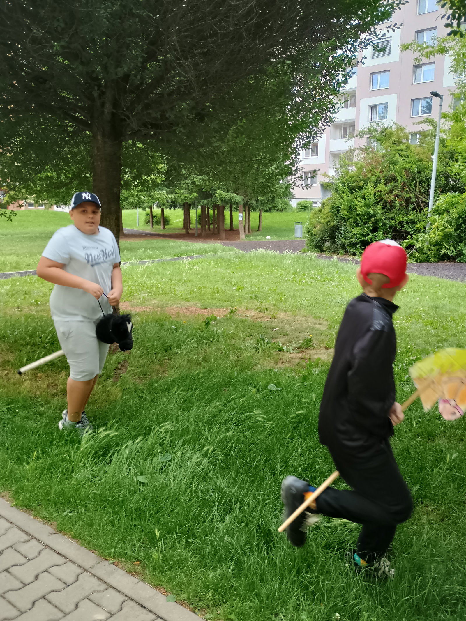 IMG_20260612_135559325_HDR