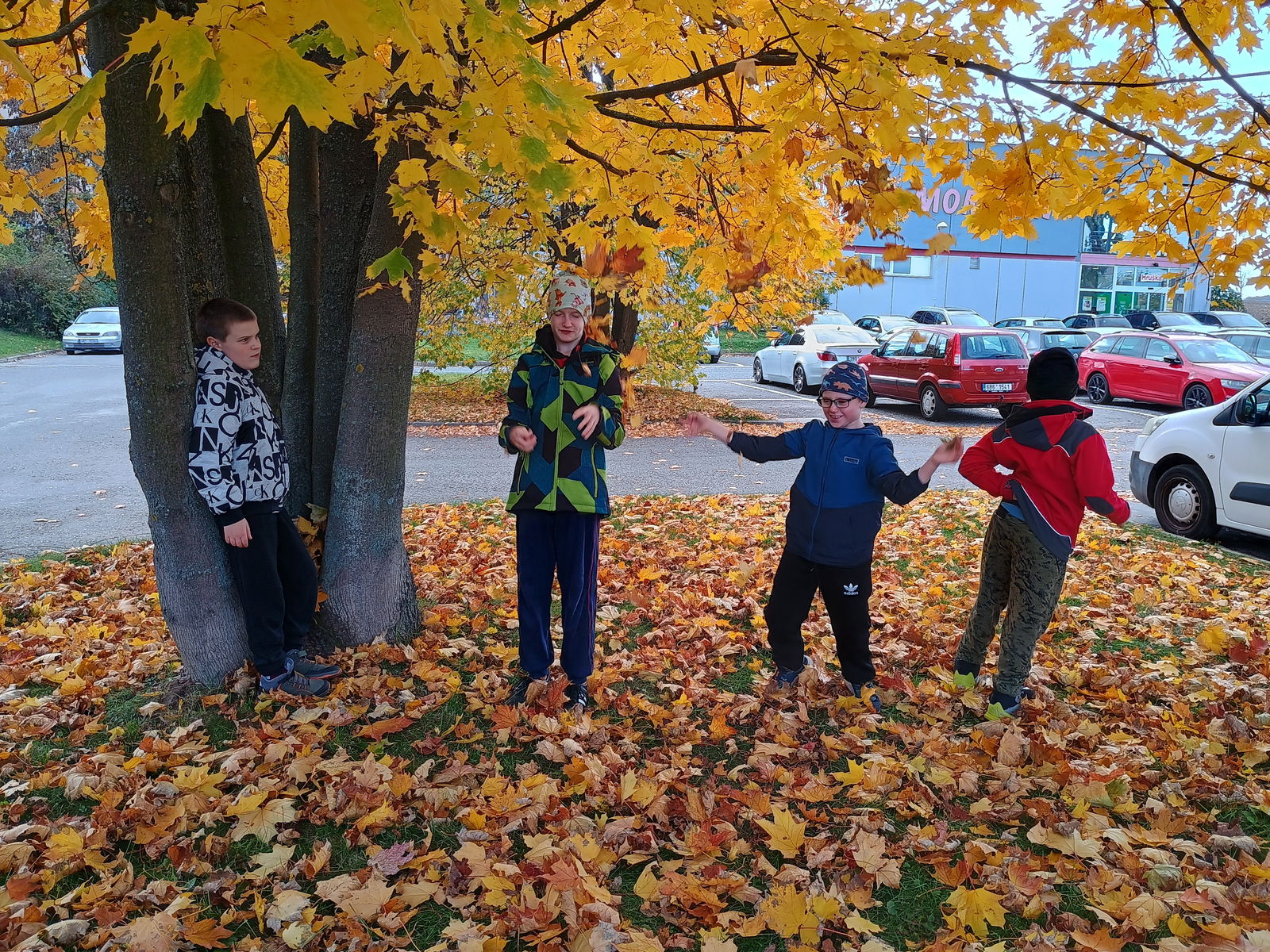 IMG_20241018_143515041_HDR