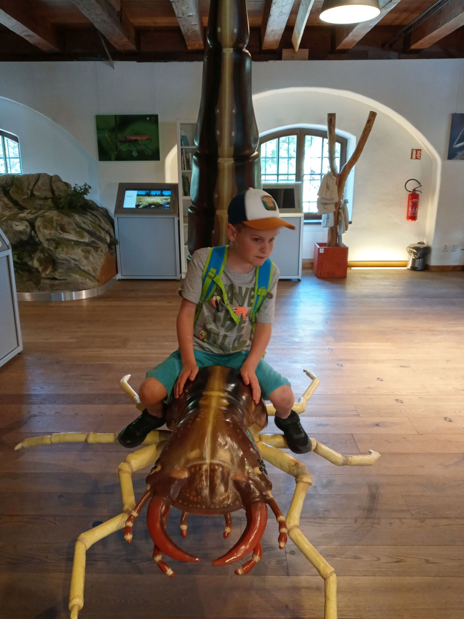 IMG_20220614_120352_098