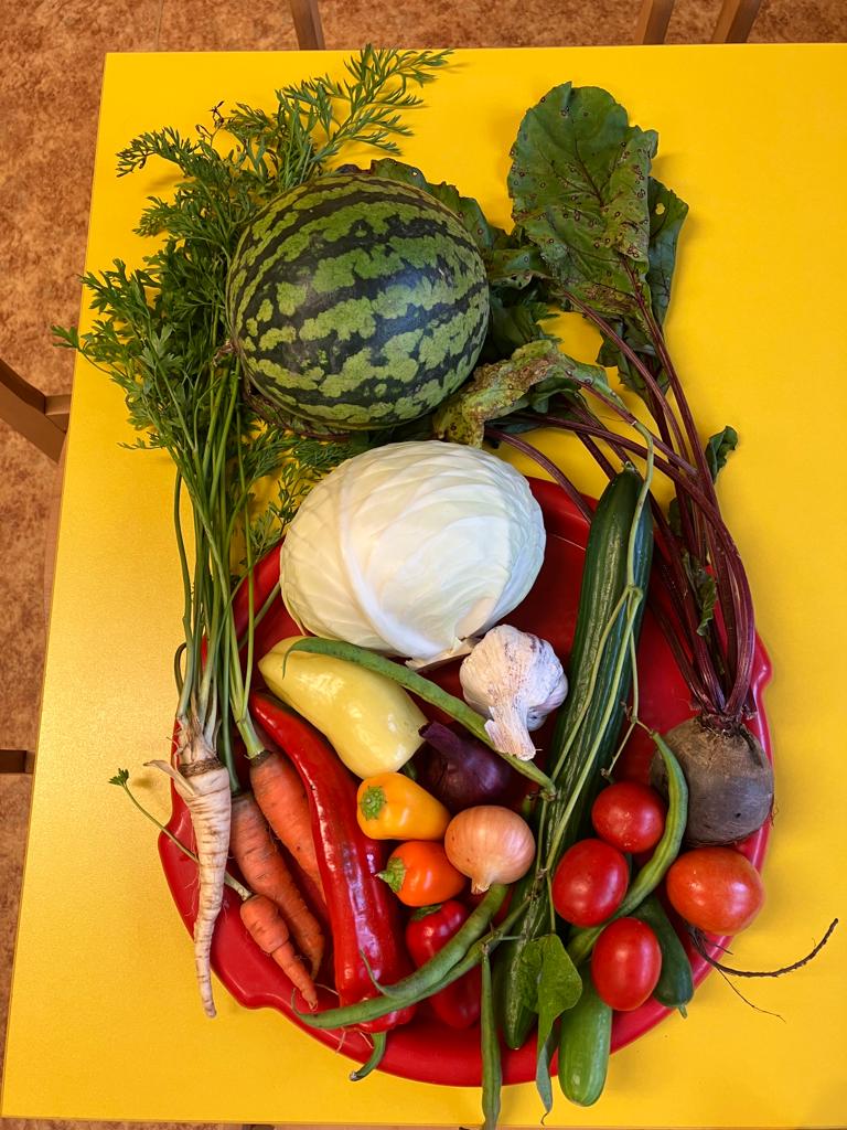 WhatsApp Image 2022-10-10 at 06.33.47 (1)