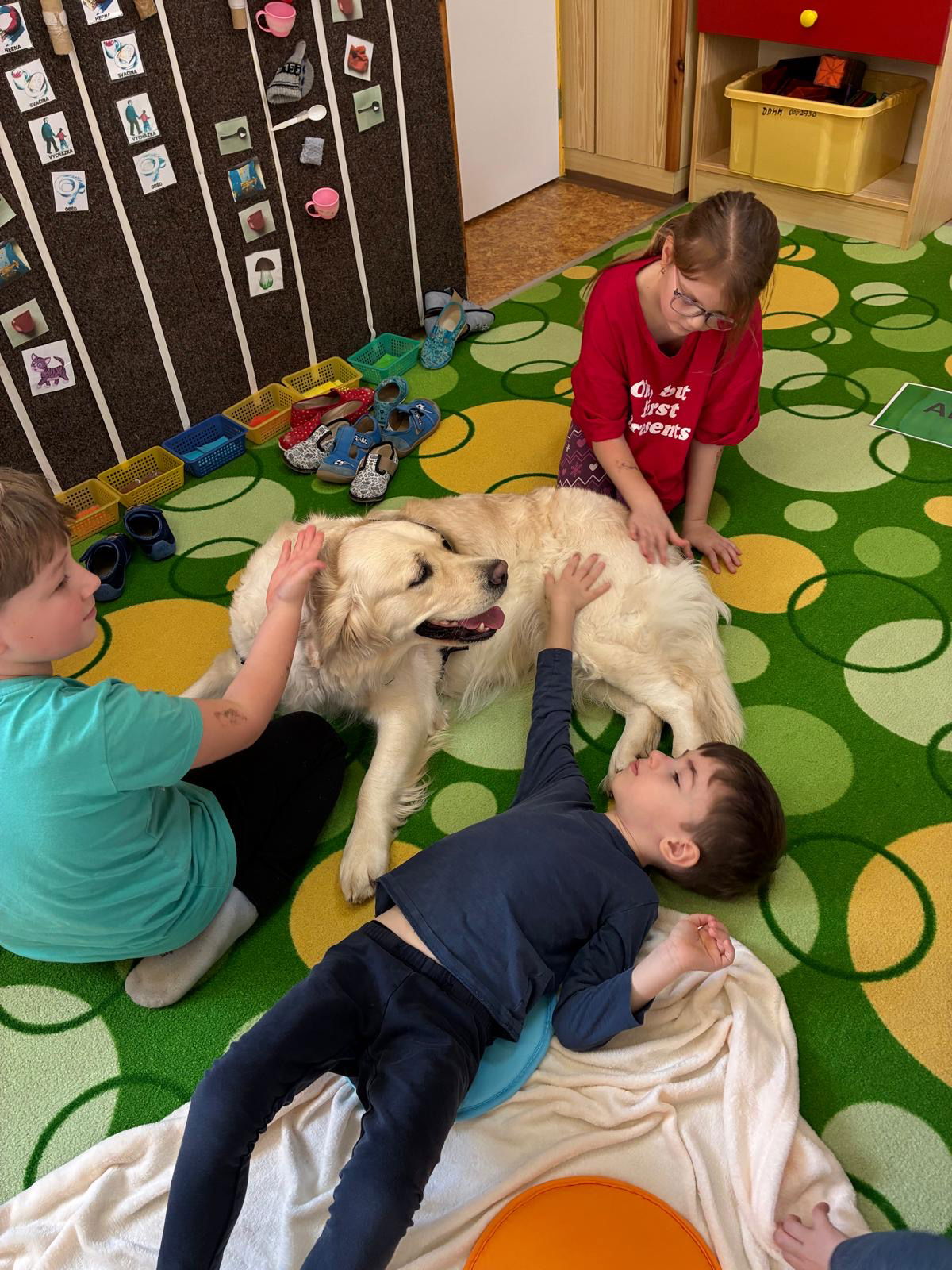 1825064a-3a8b-469c-bfd4-95f2498e0738