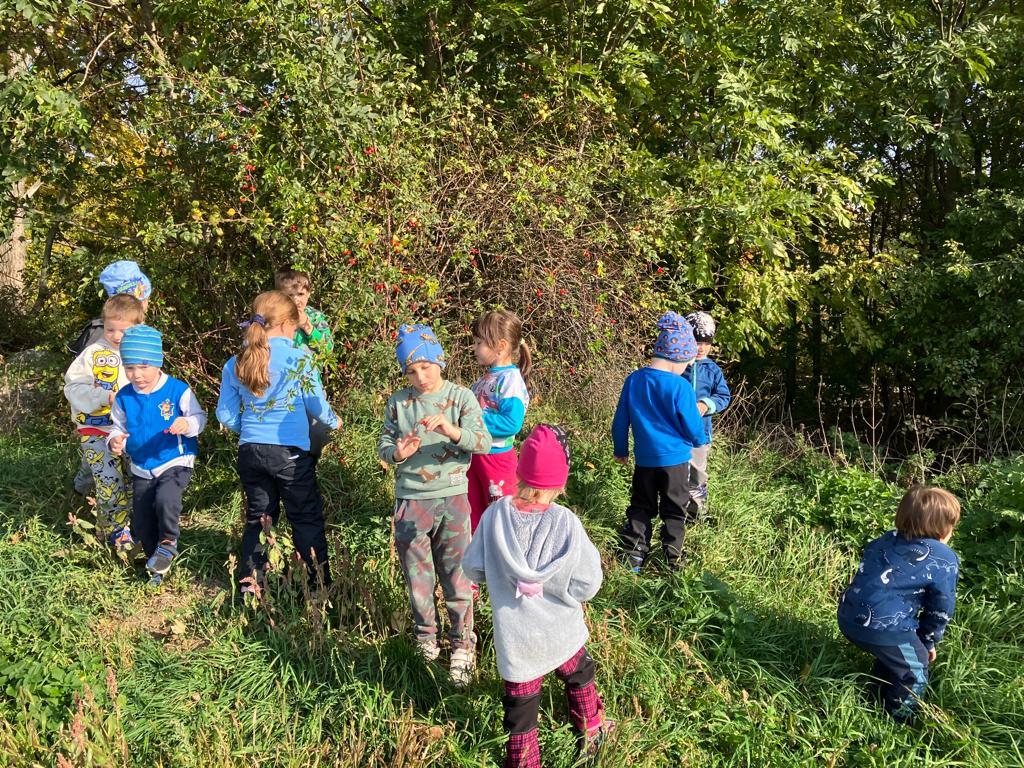 WhatsApp Image 2022-10-14 at 16.01.38 (1)