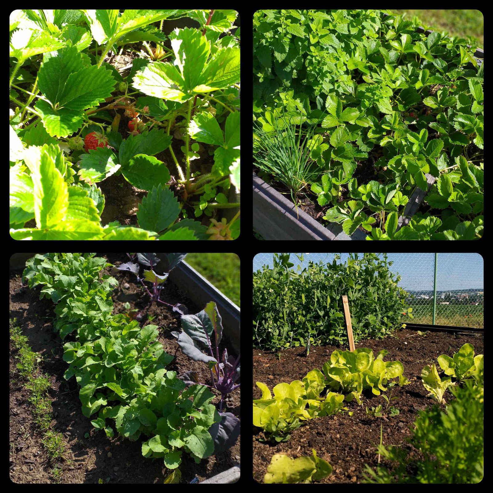 441869286_682714960662650_7504254545123913691_n