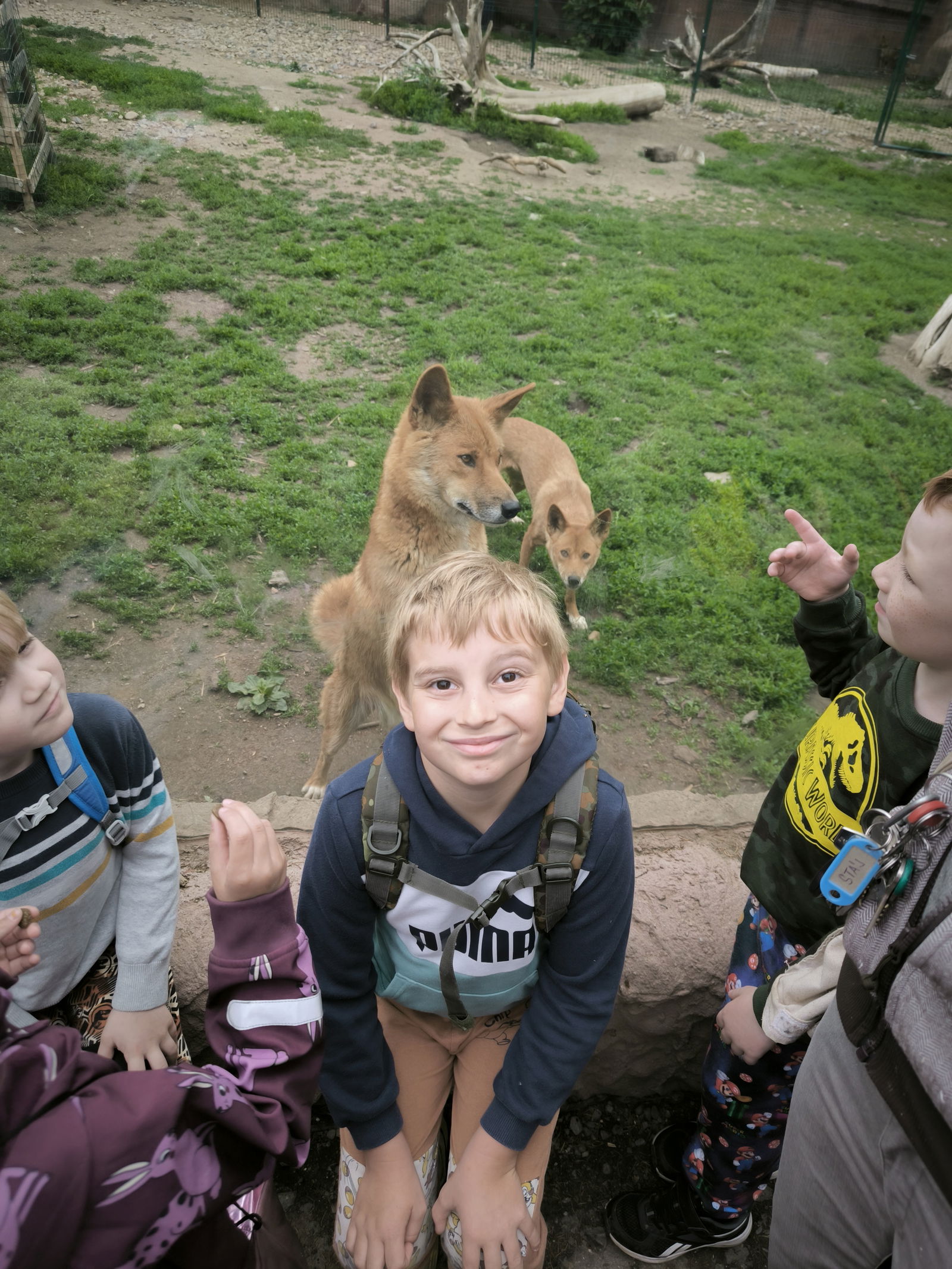 IMG_20240522_101829_1