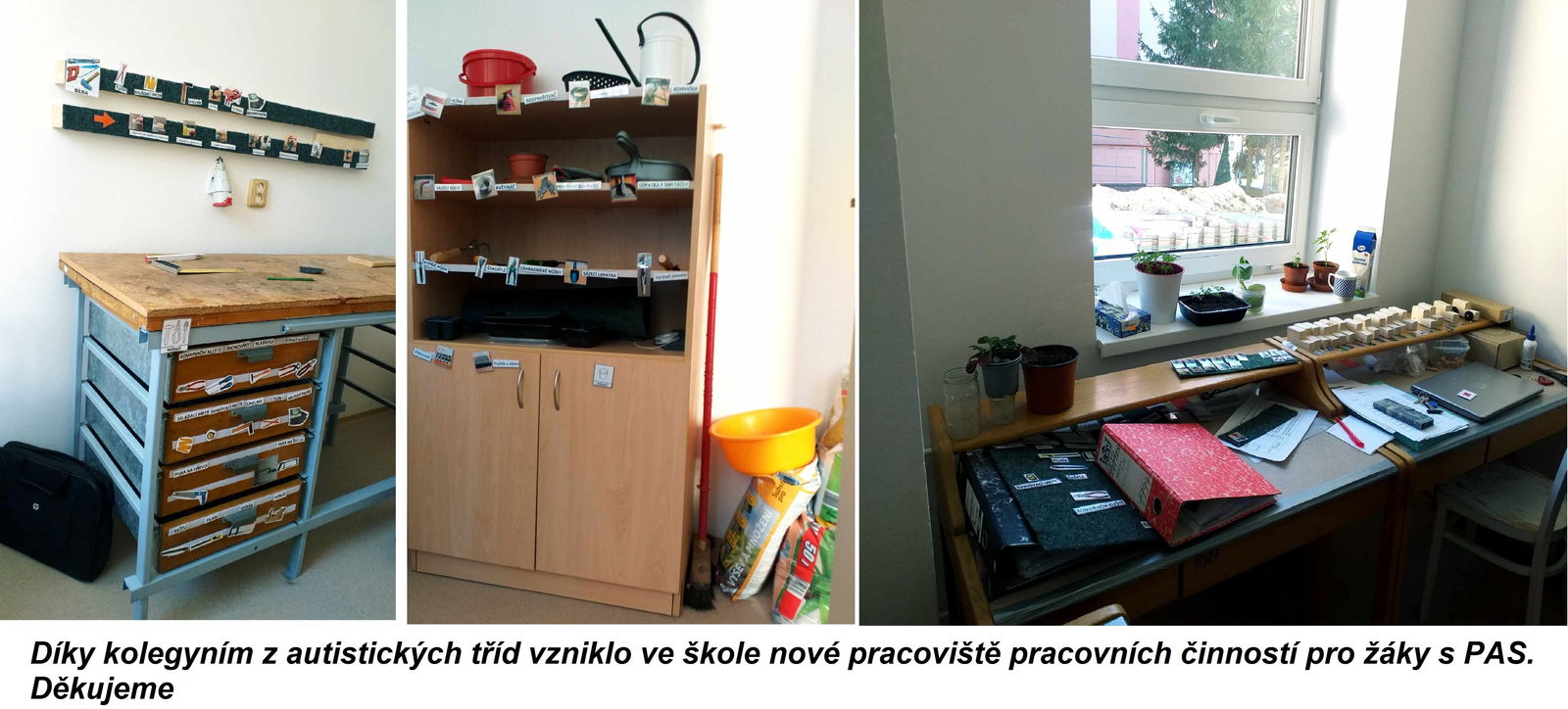 pracovni činnosti 