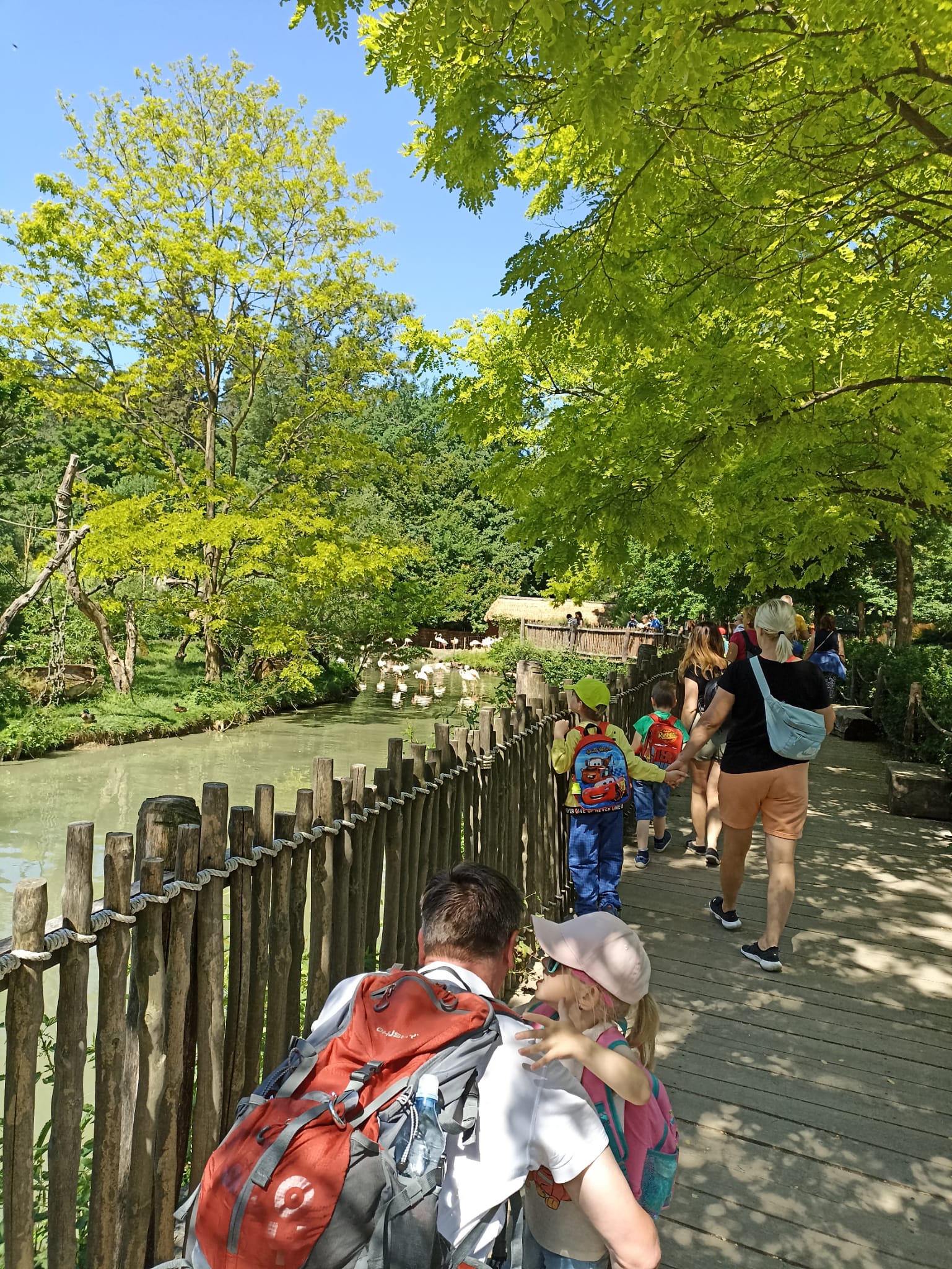 WhatsApp Image 2022-06-15 at 14.58.45