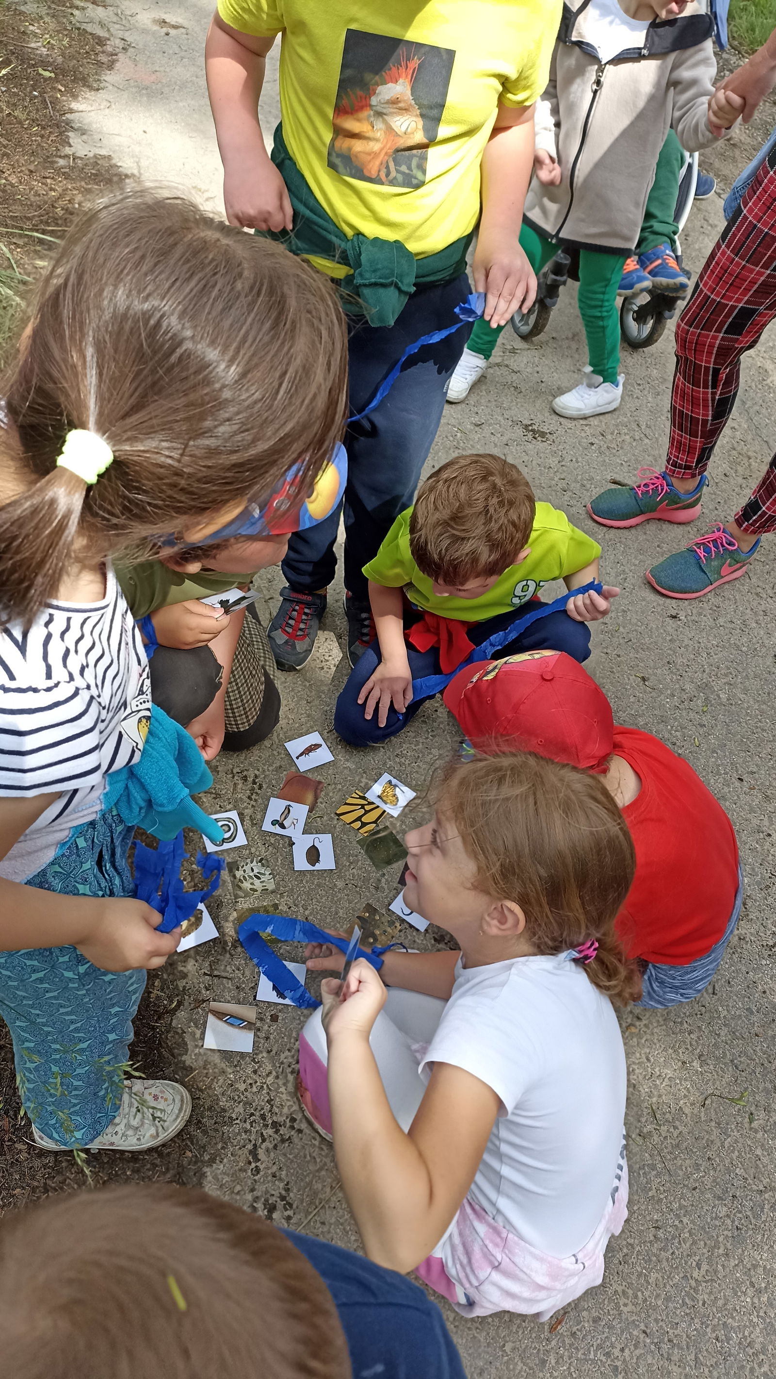 IMG_20220610_102248_1