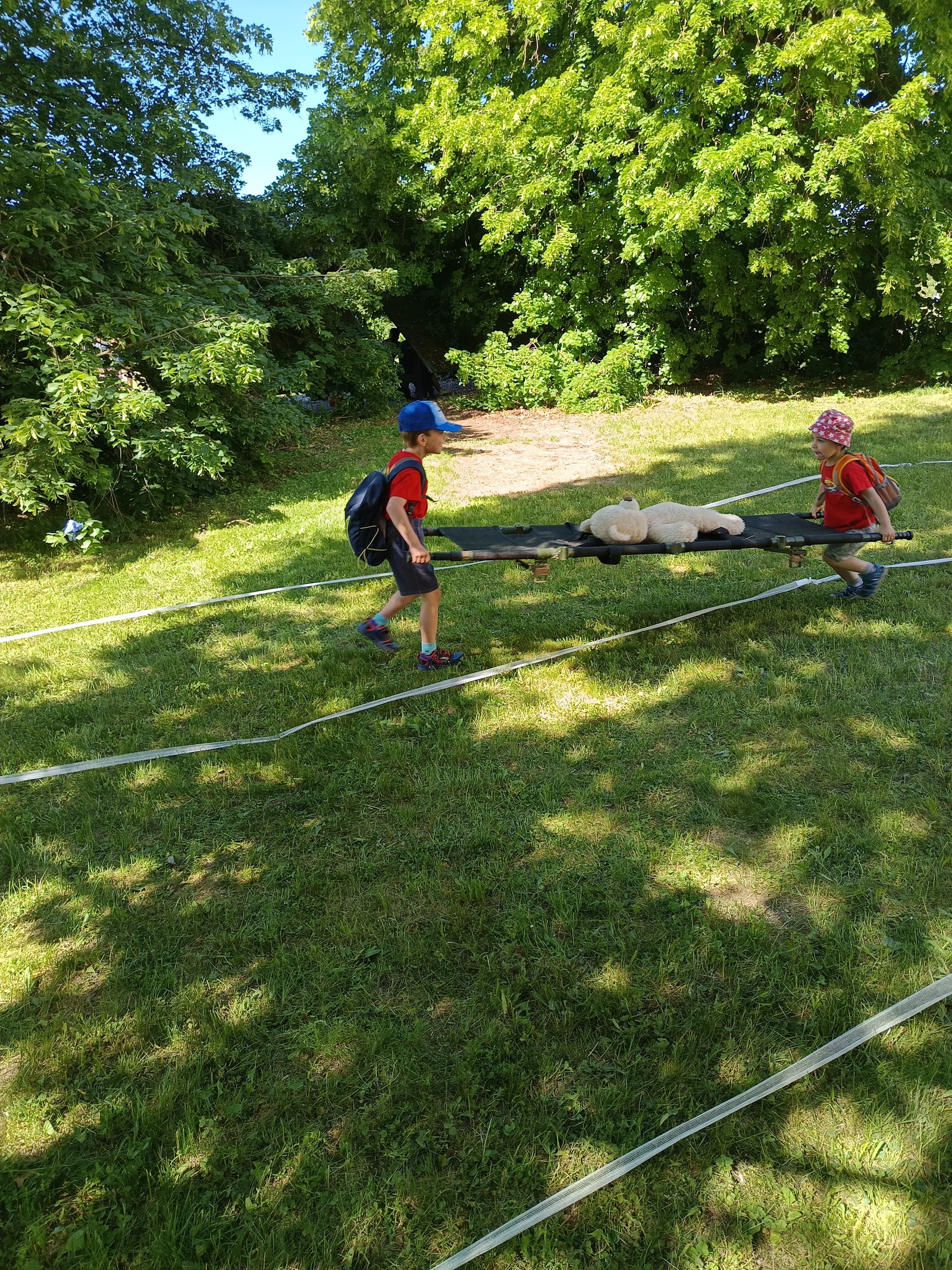 IMG_20260529_100453