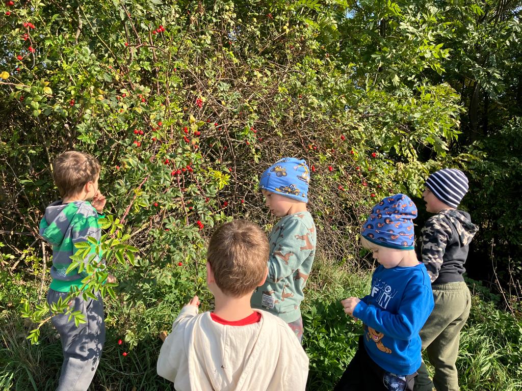 WhatsApp Image 2022-10-14 at 16.01.38 (4)