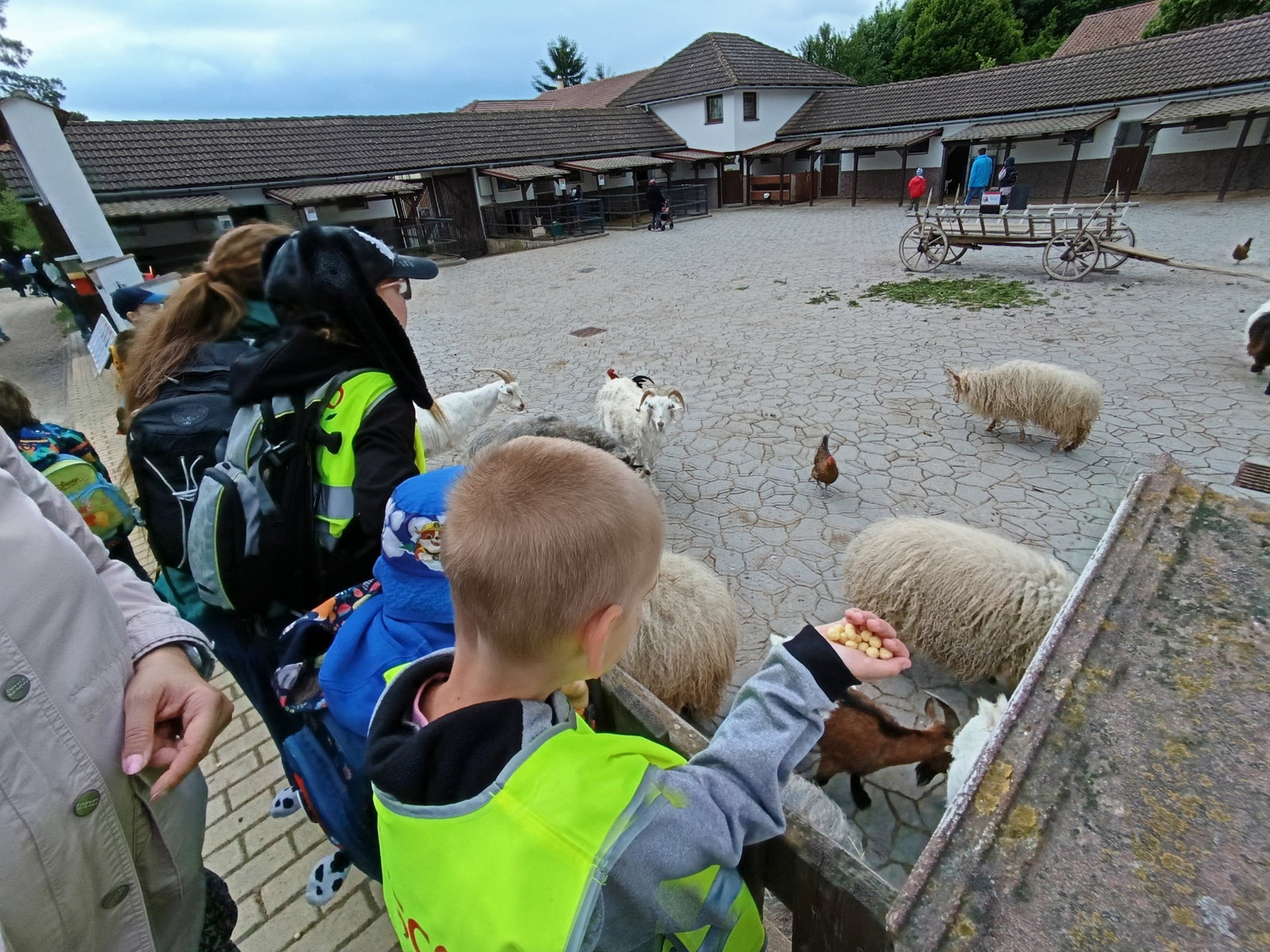 IMG_20260511_101138