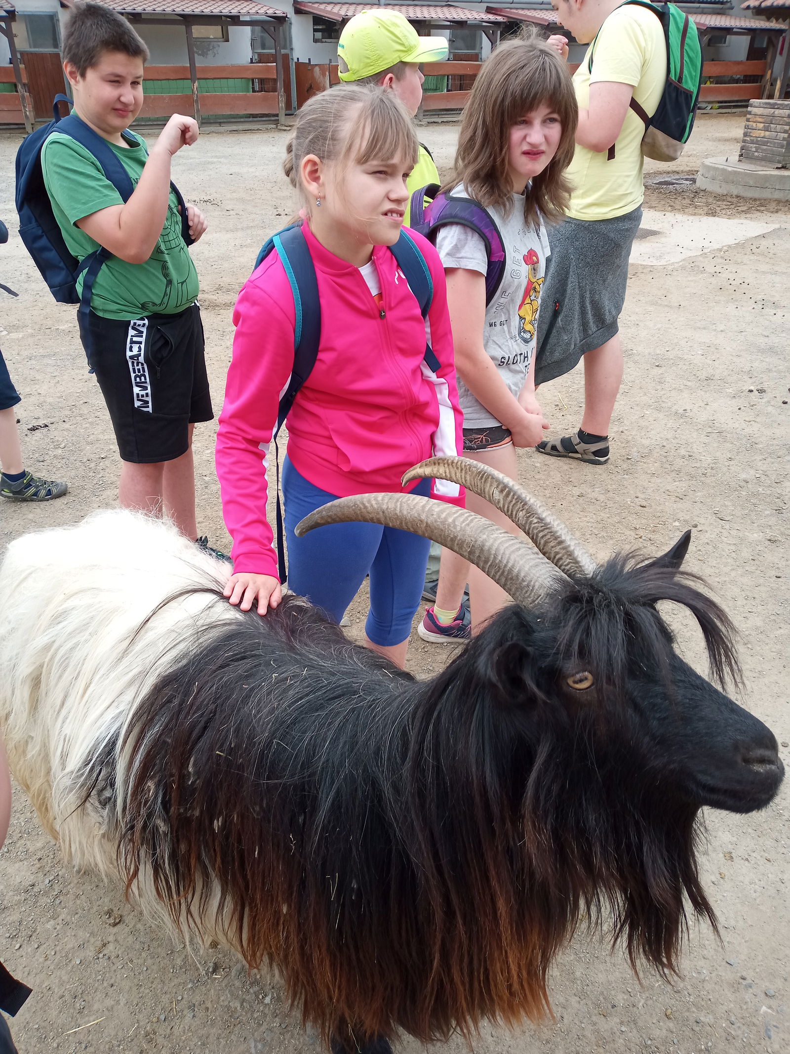 IMG_20220603_113953_643