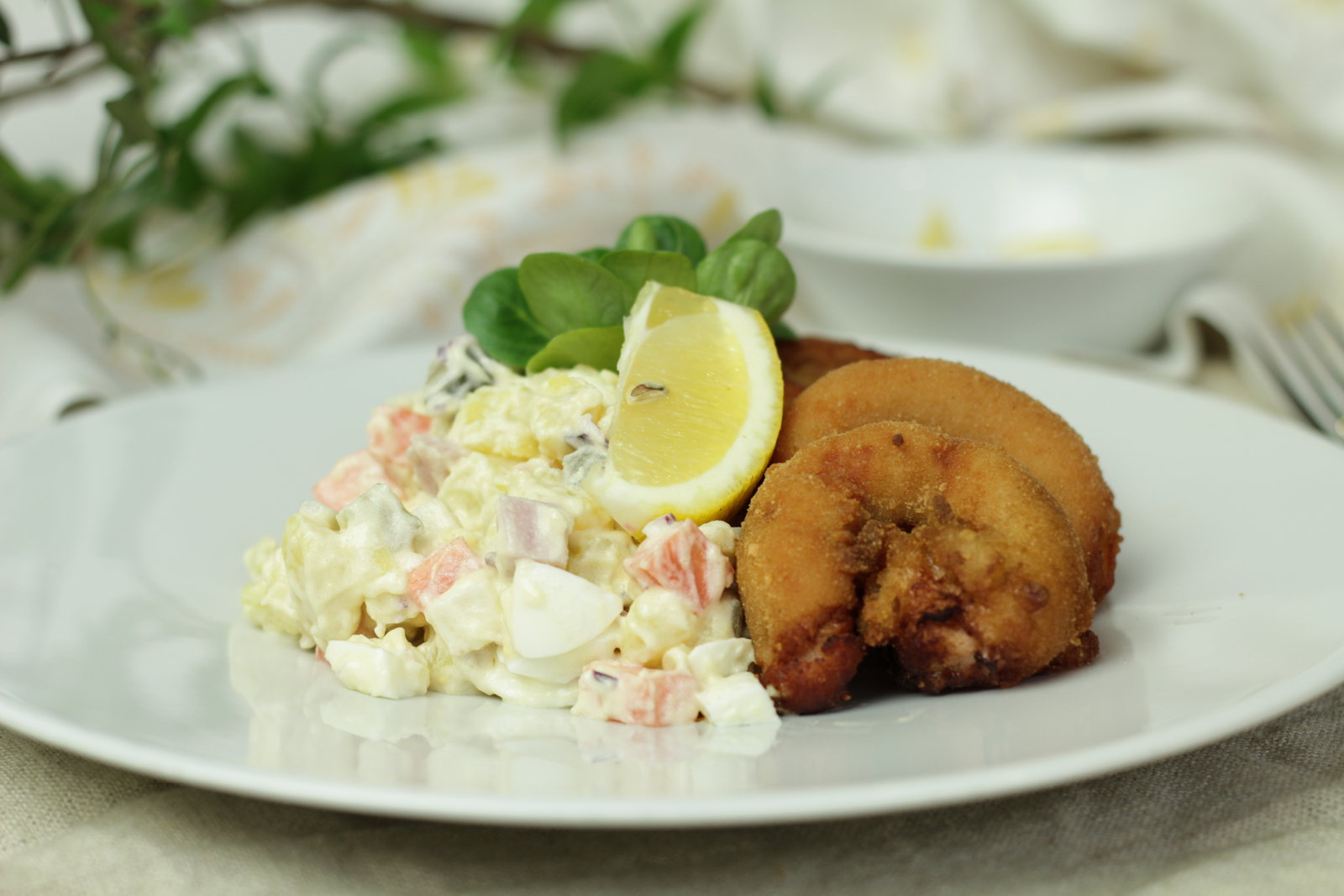 food photo - studená - 32