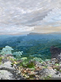 ad9c4637-6333-4fcd-9e54-650da846f0b9