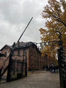 D8175F45-BCC2-4B08-83EA-1C3A180EA5B3