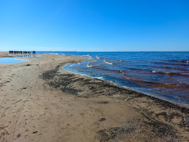 WhatsApp Image 2023-04-22 at 18.21.09