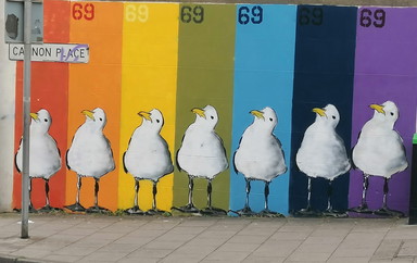 IMG_20240618_135913_resized_20240618_015937857